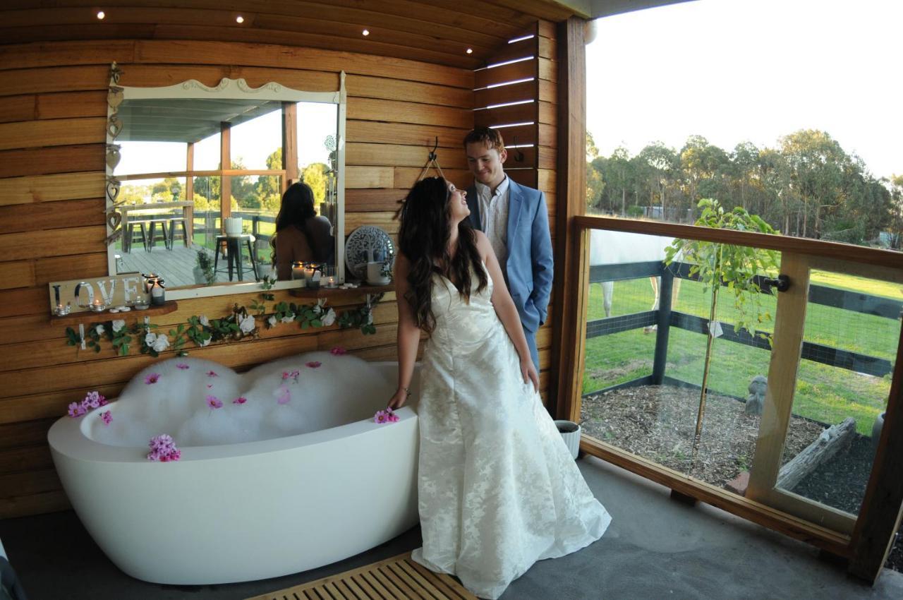 Wagtail Nest Country Retreat - Longford Vic 3851 Bed & Breakfast Sale Eksteriør bilde